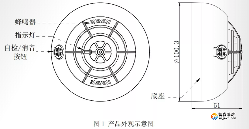 外形