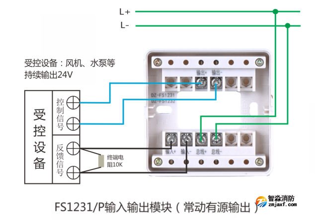 AFN-FS1231P輸入/輸出模塊接有源輸出線圖