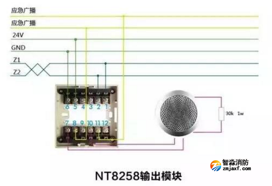 NT8258輸出模塊接線圖