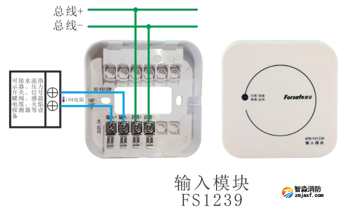 FS1239輸入模塊接線圖