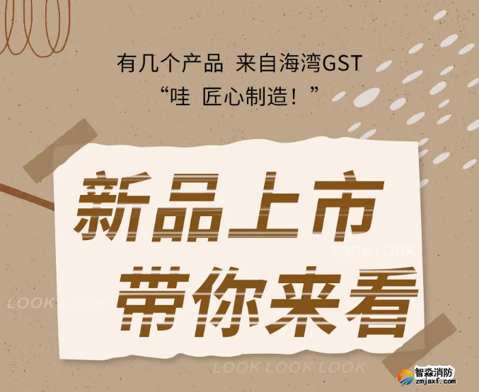 海灣消防N600二線制系列集中電源集中控制型消防應(yīng)急照明燈具新品上市